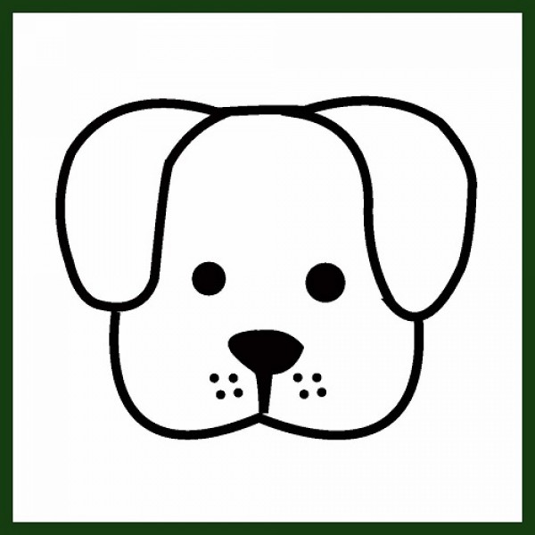 Chiot braque francais a reserver